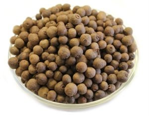 Pimento Whole (Allspice)