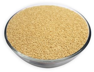 Amaranth Grain Seeds