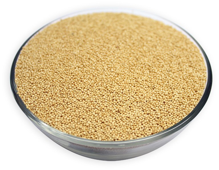 Amaranth Grain Seeds