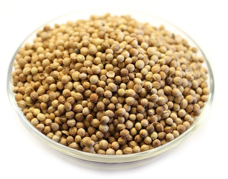 Whole Coriander Seeds