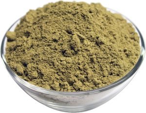 Organic Hemp Protein Powder