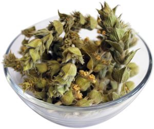 Mountain Tea (Sideritis Raeseri)